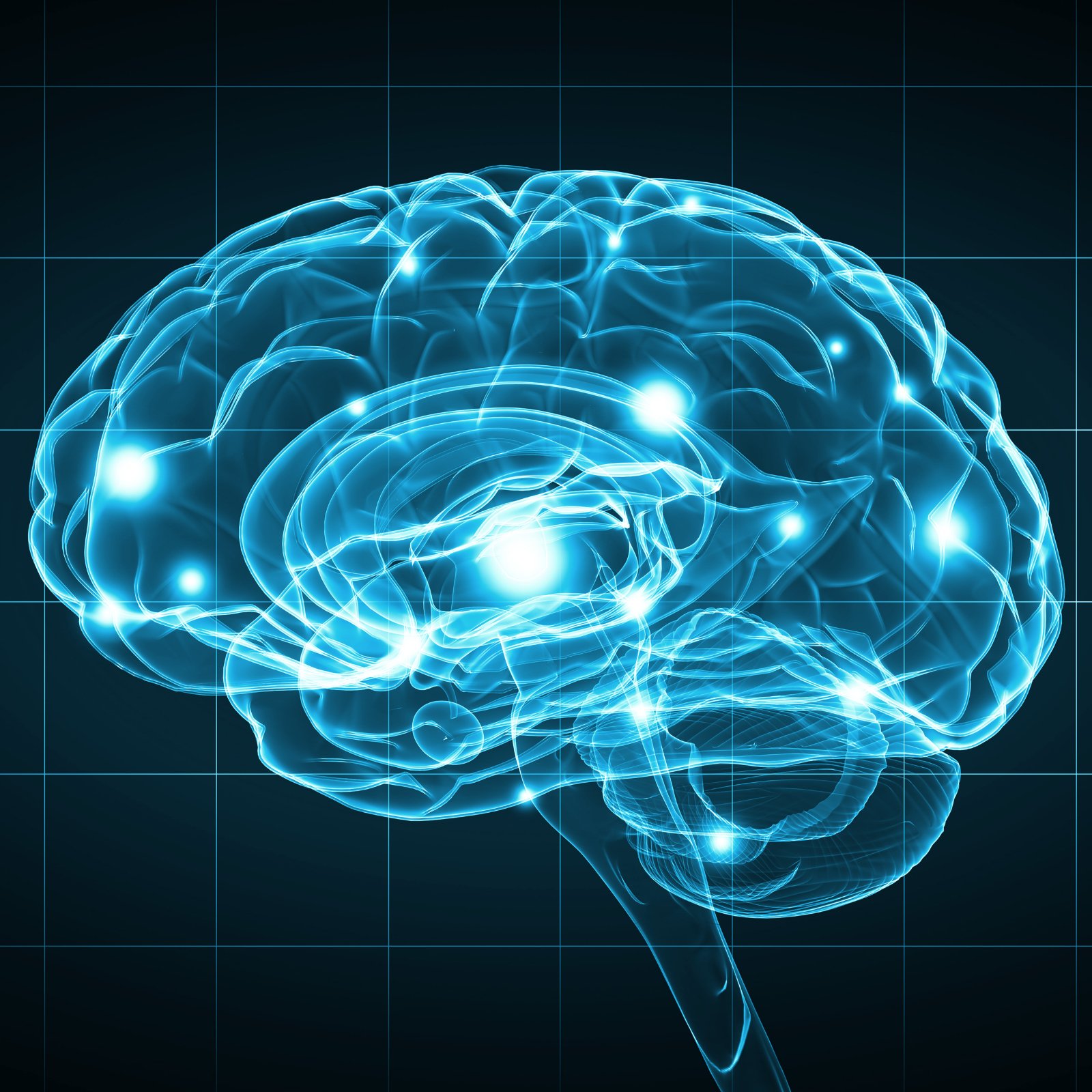 Symbolické znázornění lidského mozku – ESB Professional / Shutterstock