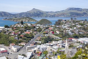 Dunedin – Ramunas Bruzas / Shutterstock