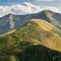 Baranec – Maciej Dubel / Shutterstock