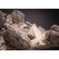 Baryt – karinatikhonova / Shutterstock