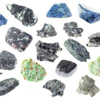 Amfiboly – KrimKate / Shutterstock