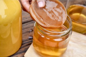 Kombucha – ARTFULLY PHOTOGRAPHER / Shutterstock