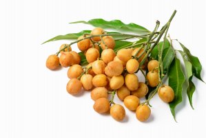 Plody rostliny Clausena lansium – AmyLv / Shutterstock