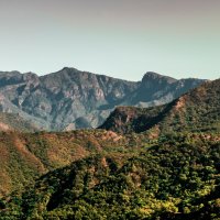 Sierra Madre Occidental – Jerphx / Shutterstock
