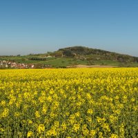 Katzenbuckel – Conny Pokorny / Shutterstock