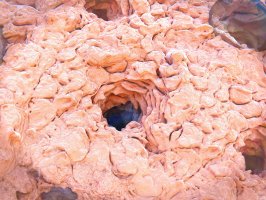 Póry v kůži, kterými odchází pot z potních žláz, 3D ilustrace – Juan Gaertner / Shutterstock