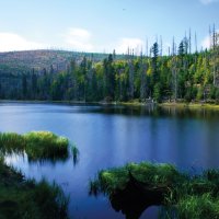 Laka – BLESKY / Shutterstock