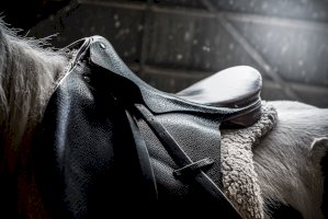 Jezdecké sedlo – Jez Timms / Unsplash