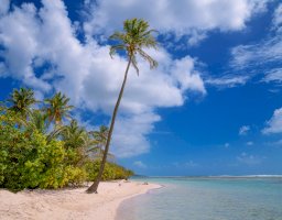 Saint Anne, Guadeloupe – Hakan Tas / Unsplash