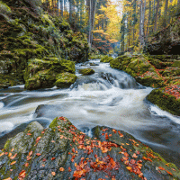 Řeka Doubrava – Artush / Shutterstock