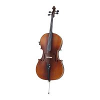 Violoncello – All Music Instruments / Shutterstock