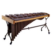 Marimbafon – All Music Instruments / Shutterstock