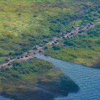 Malá vesnice na okraji jezera Mweru – Alphorom / Shutterstock