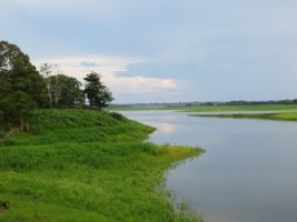 Japurá – Hannah Wheatley / Shutterstock