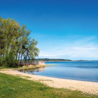 Kummerower See – Animaflora PicsStock / Shutterstock