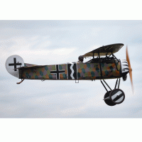 Fokker D VIII – Ryan Fletcher / Shutterstock