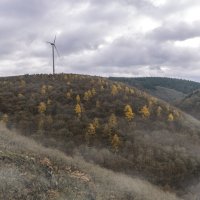 Hunsrück – fokke baarssen / Shutterstock