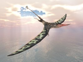 Rhamphorhynchus (3D rekonstrukce) – Michael Rosskothen / Shutterstock