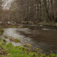 Řeka Svatava – Michael Nosek / Shutterstock