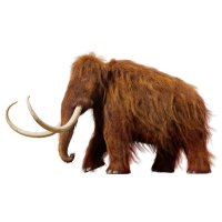 Mamut (Mammuthus primigenius), 3D rekonstrukce – Dotted Yeti / Shutterstock