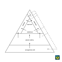 Ekologická pyramida se schématem tendencí potravních vztahů v ekosystému – CoJeCo.cz (CC BY-SA 4.0)