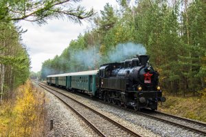 Parní lokomotiva 354.195 – Sever07 / Shutterstock