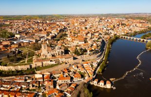 Zamora – BearFotos / Shutterstock