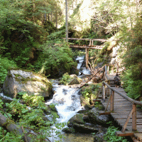 Bílá Opava – Denisovic / Shutterstock