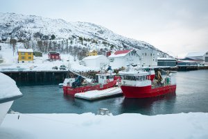 Hinnøya – Menno van der Haven / Shutterstock