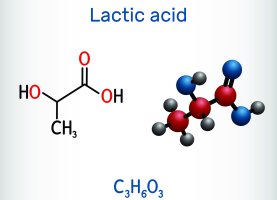 Kyselina mléčná: konstituční a stechiometrický vzorec a molekulární model – Bacsica / Shutterstock