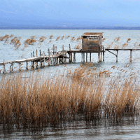 Dojranské jezero – Toshy Trajchev / Shutterstock