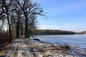 Bohdanečský rybník – Profimedia.CZ