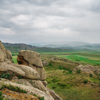 Tarbagataj – Andrian Z / Shutterstock