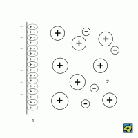 Schéma elektrické dvojvrstvy na fázovém rozhraní kov–roztok elektrolytu: (1) vrstva orientovaných molekul rozpouštědla, (2) elektrolyt – CoJeCo.cz (CC BY-SA 4.0)