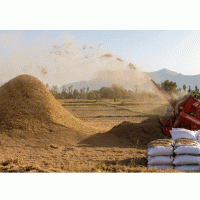 Mlátička – GreenThumbShots / Shutterstock