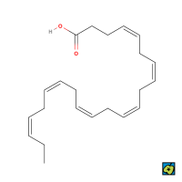 DHA, kyselina dokosahexaenová, strukturní vzorec. Polynenasycená mastná kyselina ze skupiny omega-3, významná složka fosfolipidů mozku a sítnice, důležitá pro vývoj nervové soustavy a zraku. Přijímána potravou (ryby, mořské řasy) nebo vytvářená z kyseliny α-linolenové. Používá se v potravinových doplňcích a kojenecké výživě – CoJeCo.cz (CC BY-SA 4.0)