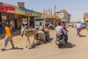 Atbara – Matyas Rehak / Shutterstock