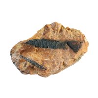 Monazit – Albert Russ / Shutterstock