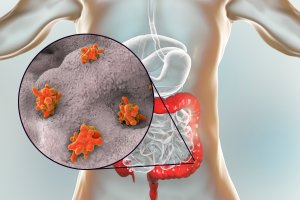 Měňavka úplavičná (Entamoeba histolytica) – Kateryna Kon / Shutterstock