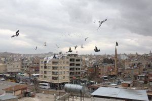 Kilis – ymphotos / Shutterstock