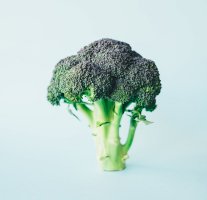 Brokolice – Annie Spratt / Unsplash