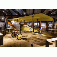 Bristol Scout – Gav Smith / Shutterstock