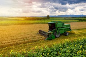 Obilný kombajn – Radu Cadar / Shutterstock