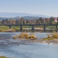 Latorica – Vitaliya / Shutterstock