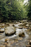 Mumlava (28.4.2004) – Profimedia.CZ