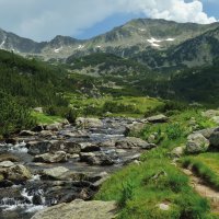 Vichren – d.stipek / Shutterstock