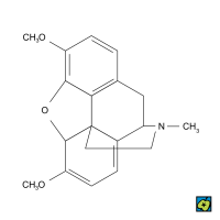 Thebain, strukturní 2D vzorec – CoJeCo.cz (CC BY-SA 4.0)
