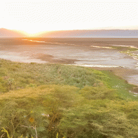 Jezero Eyasi – Bjoern Reineke / Shutterstock