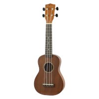 Ukulele – All Music Instruments / Shutterstock