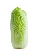 Pekingské zelí (Brassica rapa subsp. pekinensis) – A_M_Radul / Shutterstock